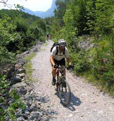 Gorsko kolesarjenje v Savinjski dolini